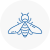 Bee Nest Removal Shepherds Bush